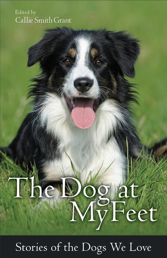 The Dog At My Feet - Re-vived