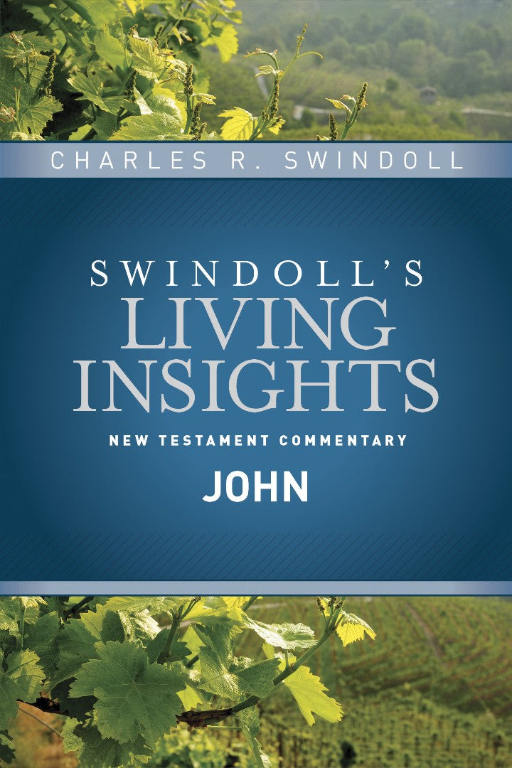 Insights On John - Re-vived