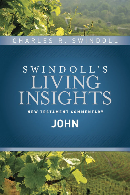 Insights On John - Re-vived