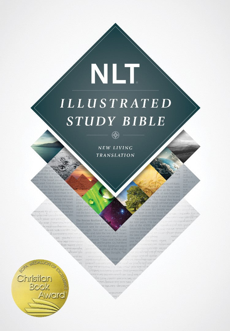 NLT Illustrated Study Bible - Re-vived