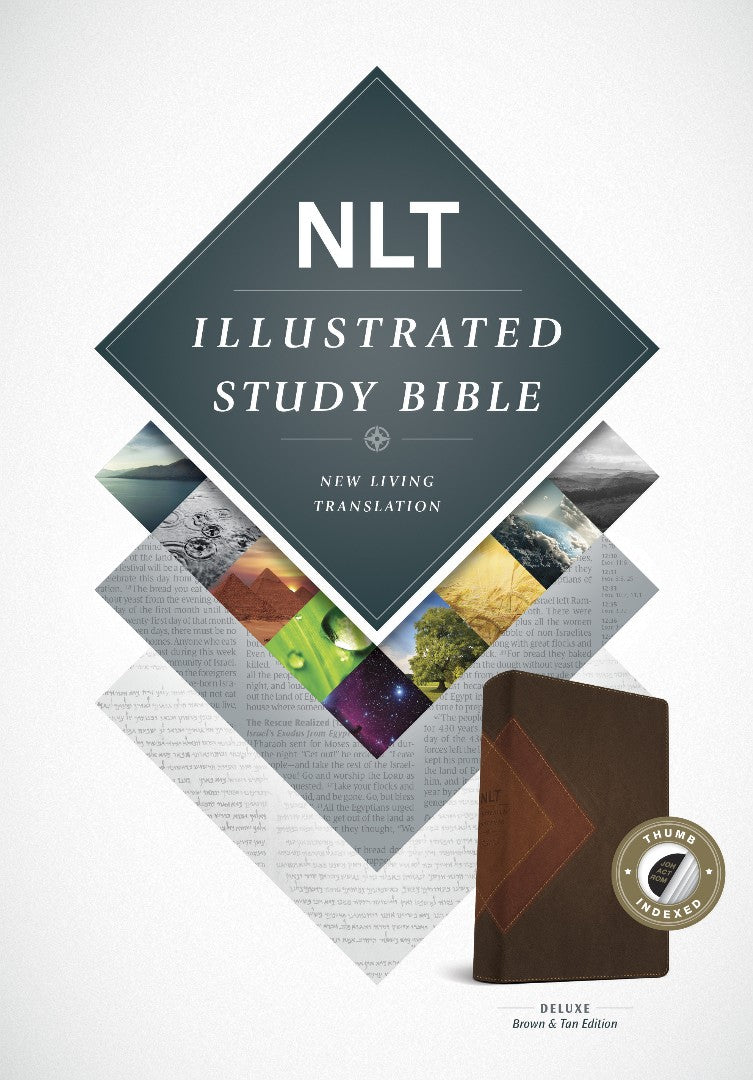 NLT Illustrated Study Bible Tutone Brown/Tan, Indexed - Re-vived