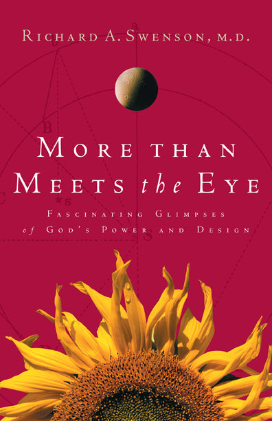 More Than Meets the Eye - Re-vived