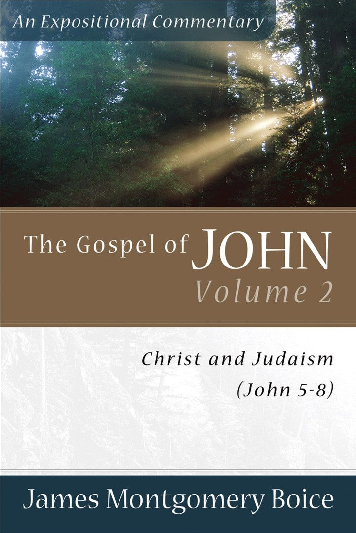 The Gospel Of John Volume 2 - Re-vived