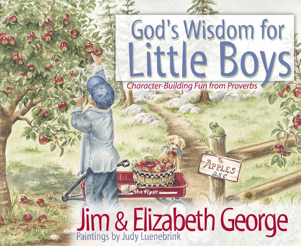God's Wisdom for Little Boys - Re-vived