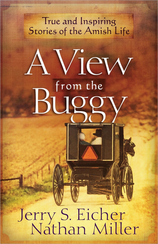 A View From The Buggy - Re-vived