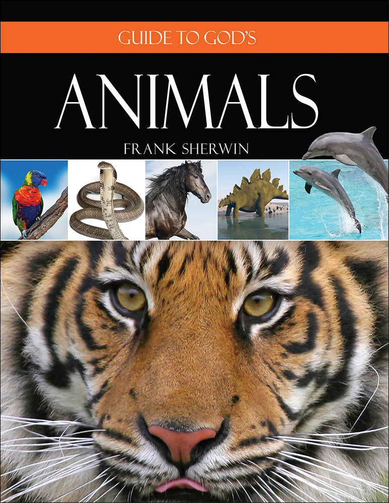 Guide To God'S Animals - Re-vived