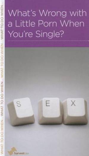 What's Wrong With A Little Porn When You're Single? - Re-vived