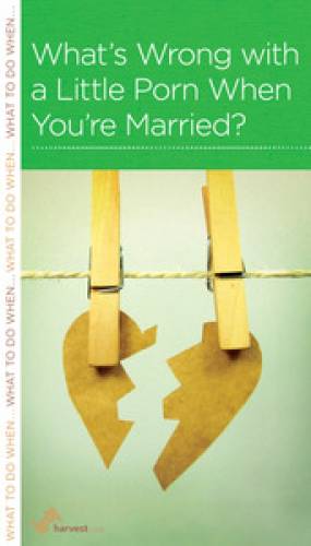 What's Wrong With A Little Porn When You're Married? - Re-vived