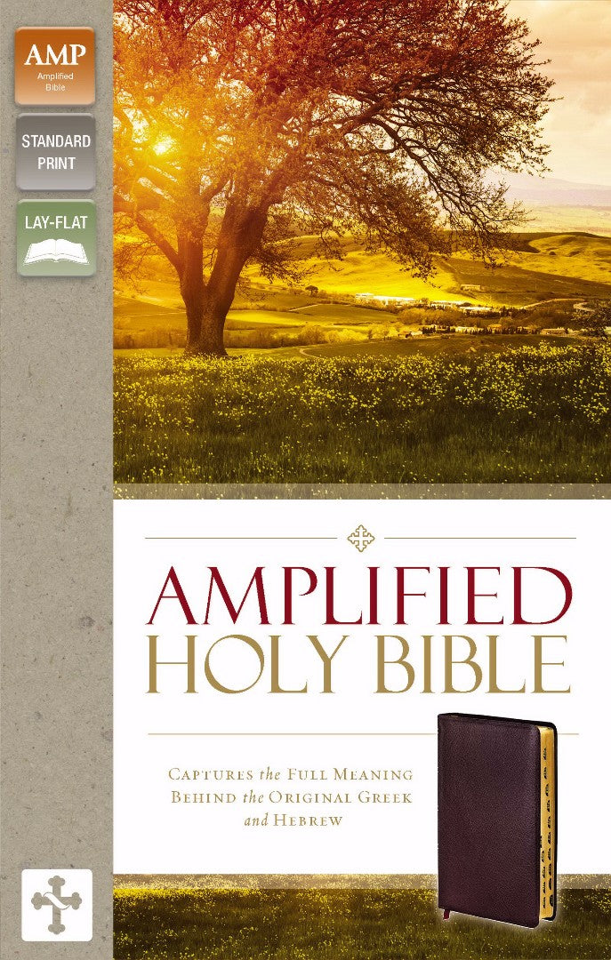 Amplified Holy Bible, Indexed - Re-vived