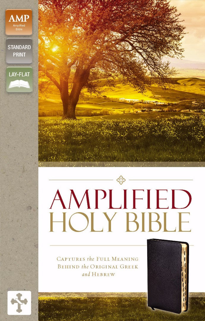 Amplified Holy Bible, Black, Indexed - Re-vived