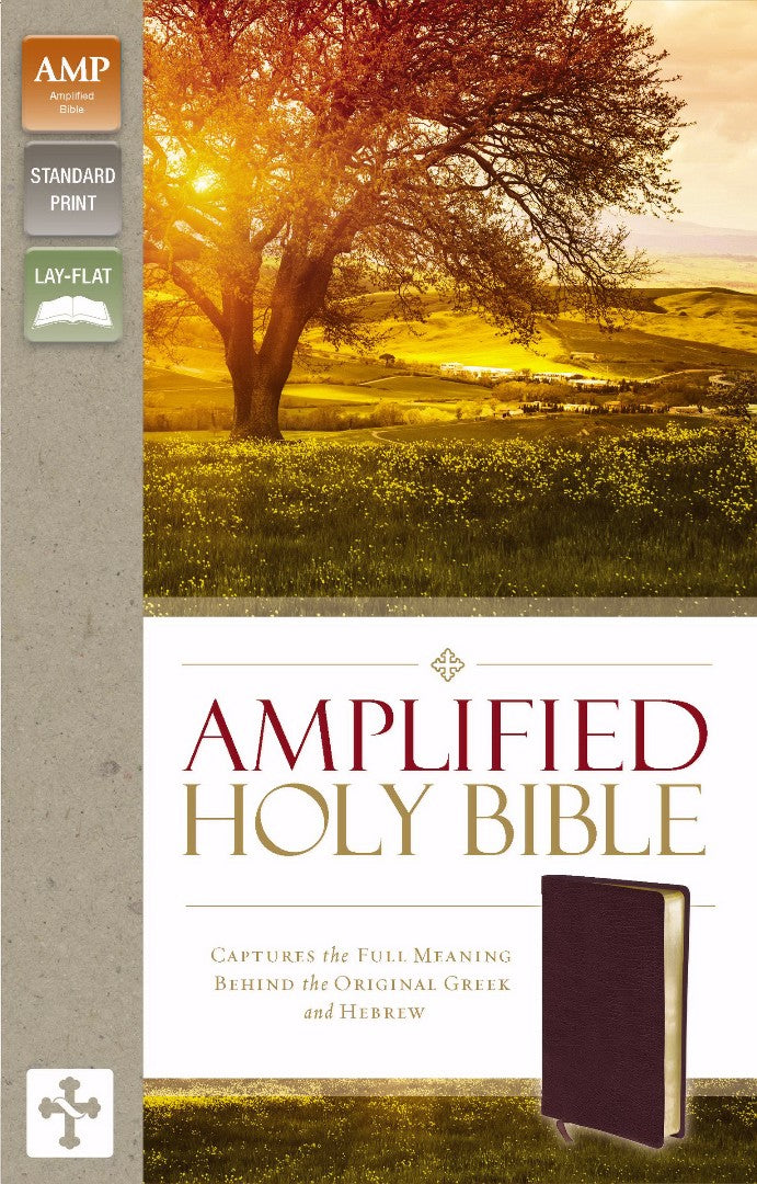 Amplified Holy Bible, Burgundy - Re-vived