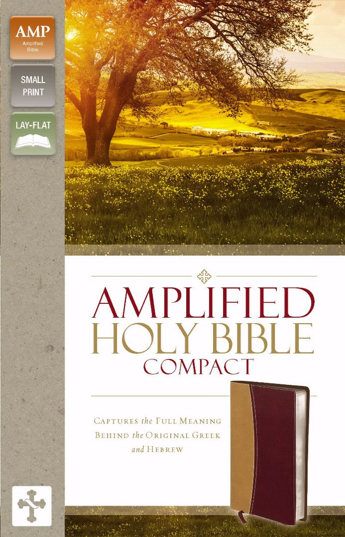 Amplified Holy Bible, Compact, Camel-Burgundy - Re-vived