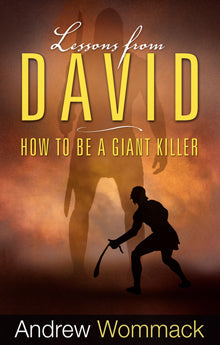Lessons from David - Re-vived