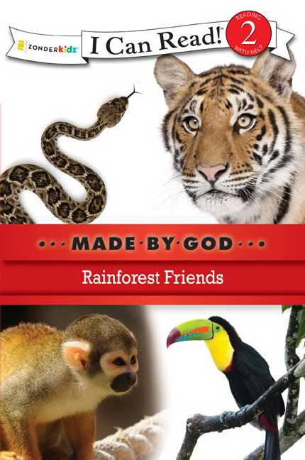 Rainforest Friends - Re-vived