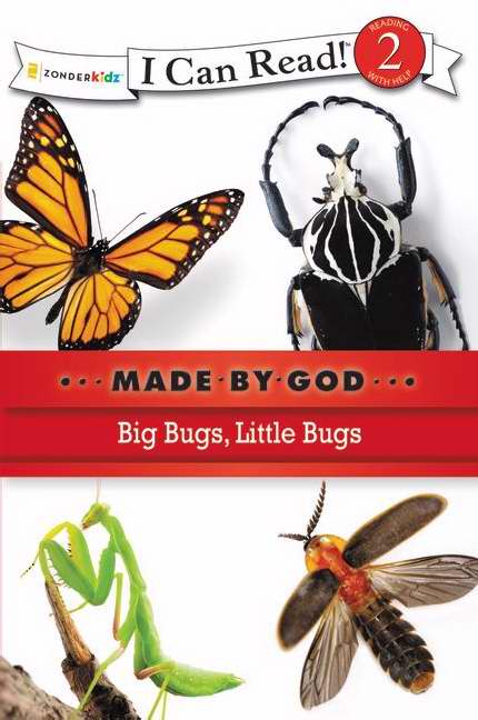 Big Bugs, Little Bugs - Re-vived