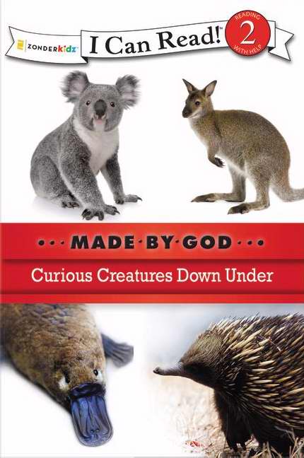 Curious Creatures Down Under - Re-vived