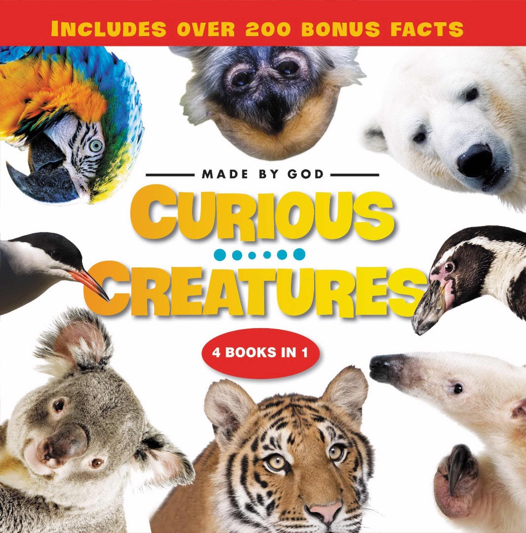 Curious Creatures - Re-vived