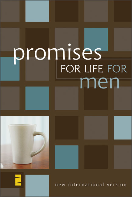 Promises For Life For Men - Re-vived