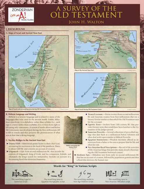 A Survey Of The Old Testament Laminated Sheet - Re-vived