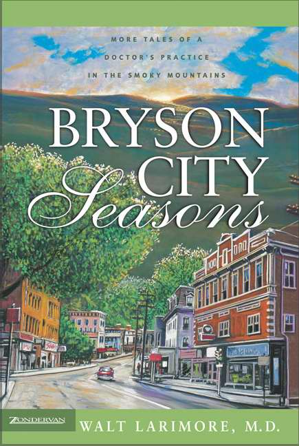 Bryson City Seasons - Re-vived