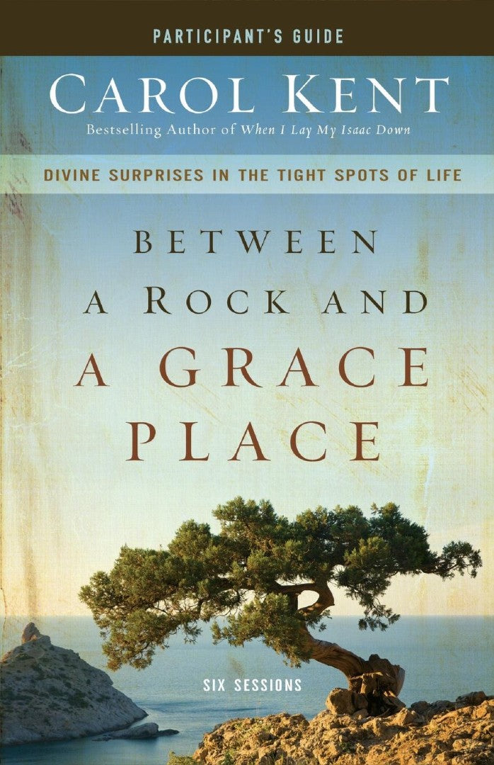 Between A Rock And A Grace Place Participant's Guide - Re-vived