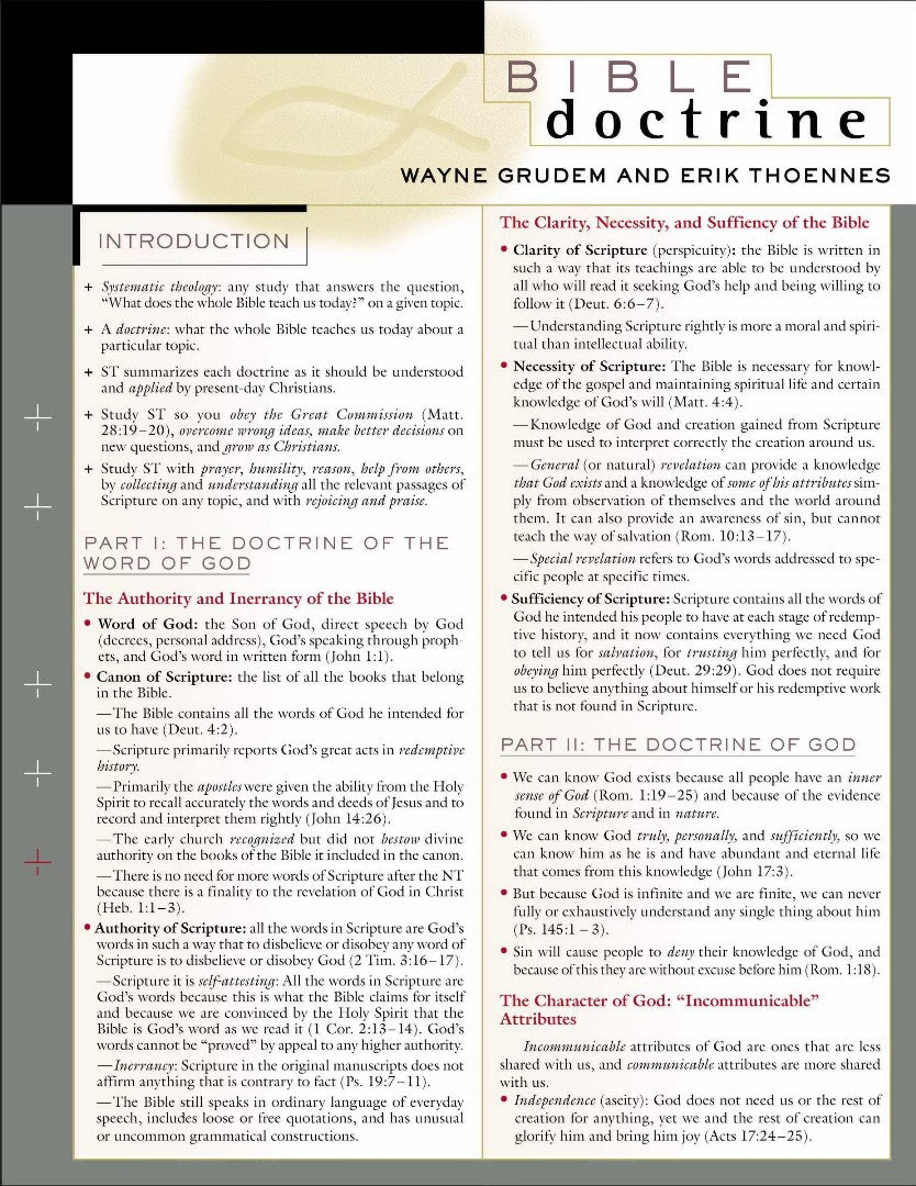 Bible Doctrine Laminated Sheet - Re-vived