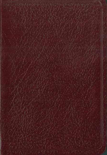 Santa Biblia De Bolsillo Nvi - Re-vived
