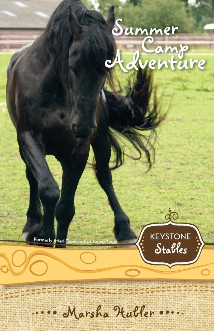 Summer Camp Adventure - Re-vived