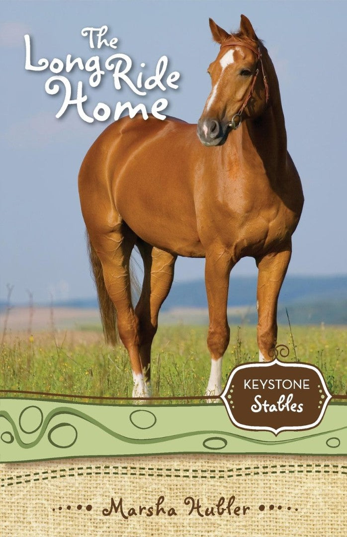 The Long Ride Home - Re-vived