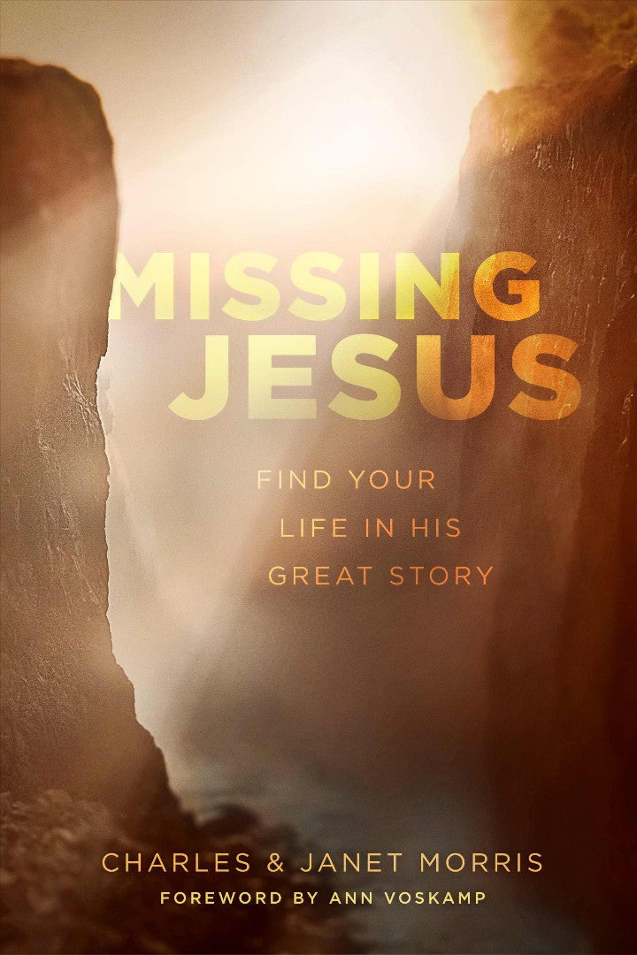 Missing Jesus - Re-vived