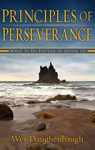 Principles Of Perserverance - Re-vived