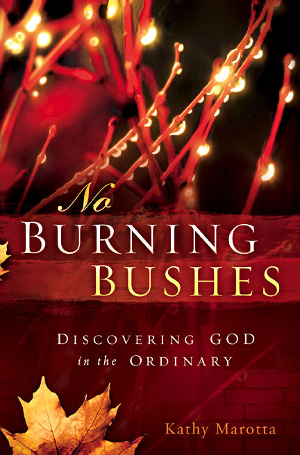No Burning Bushes - Re-vived