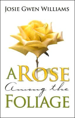 A Rose Among The Foliage - Re-vived
