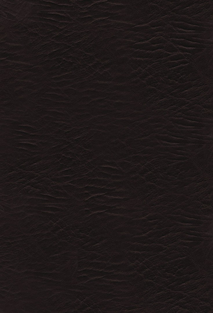 The KJV Woman's Study Bible - Re-vived