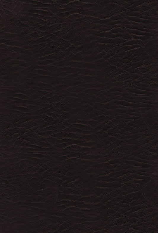 The KJV Woman's Study Bible - Re-vived