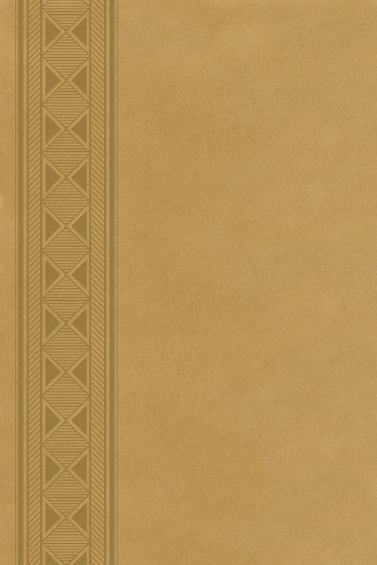 KJV Compact Ultraslim Bible - Re-vived