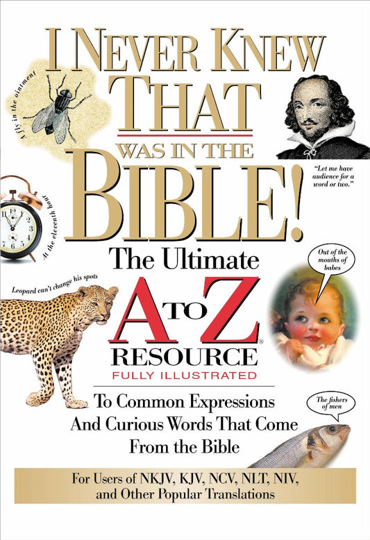I Never Knew That Was In The Bible - Re-vived