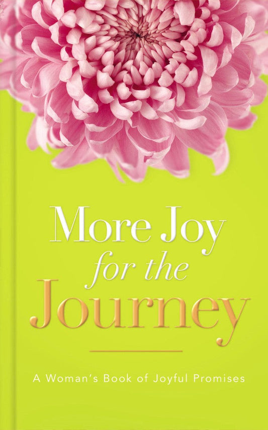 More Joy for the Journey - Re-vived