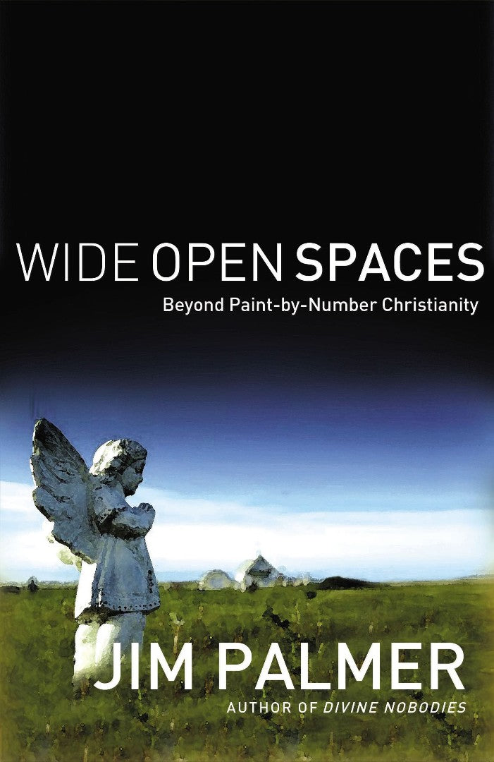Wide Open Spaces - Re-vived