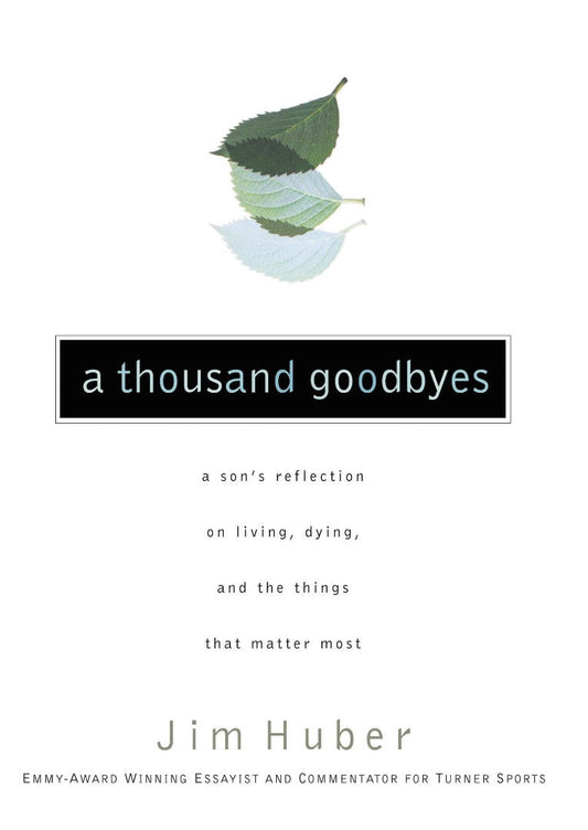 A Thousand Goodbyes - Re-vived