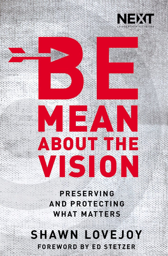 Be Mean About The Vision - Re-vived