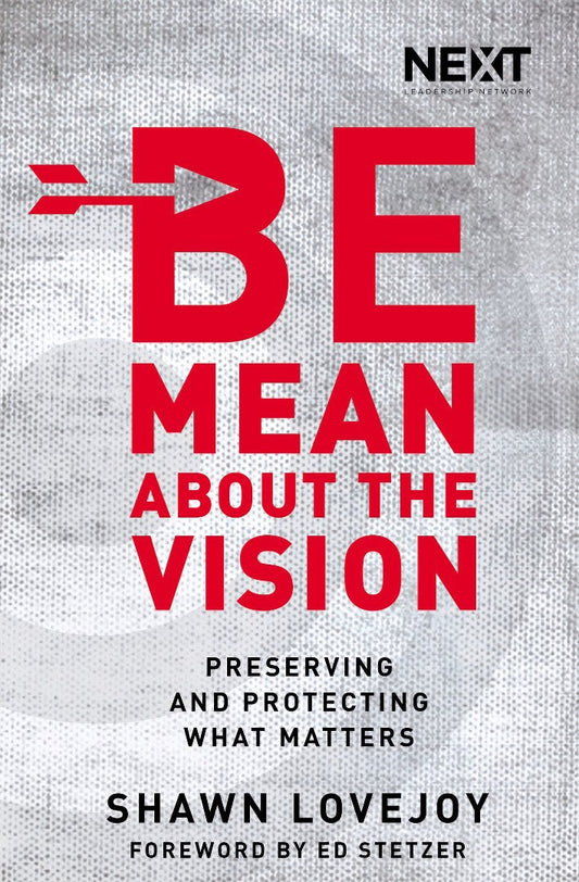 Be Mean About The Vision - Re-vived