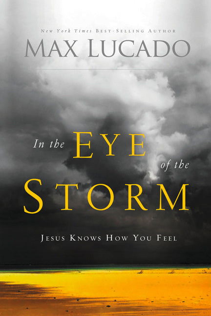 In The Eye Of The Storm - Re-vived