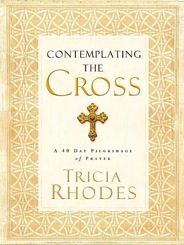 Contemplating The Cross - Re-vived