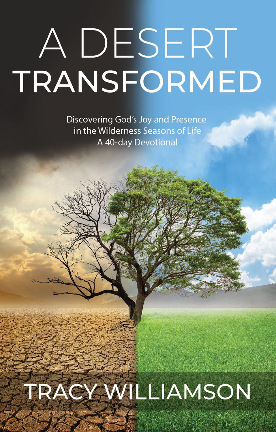 A Desert Transformed - Re-vived