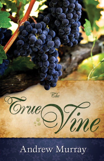 True Vine - Re-vived