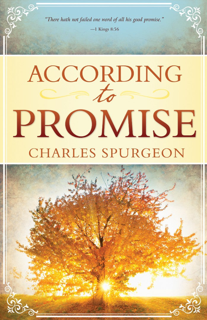 According To Promise - Re-vived