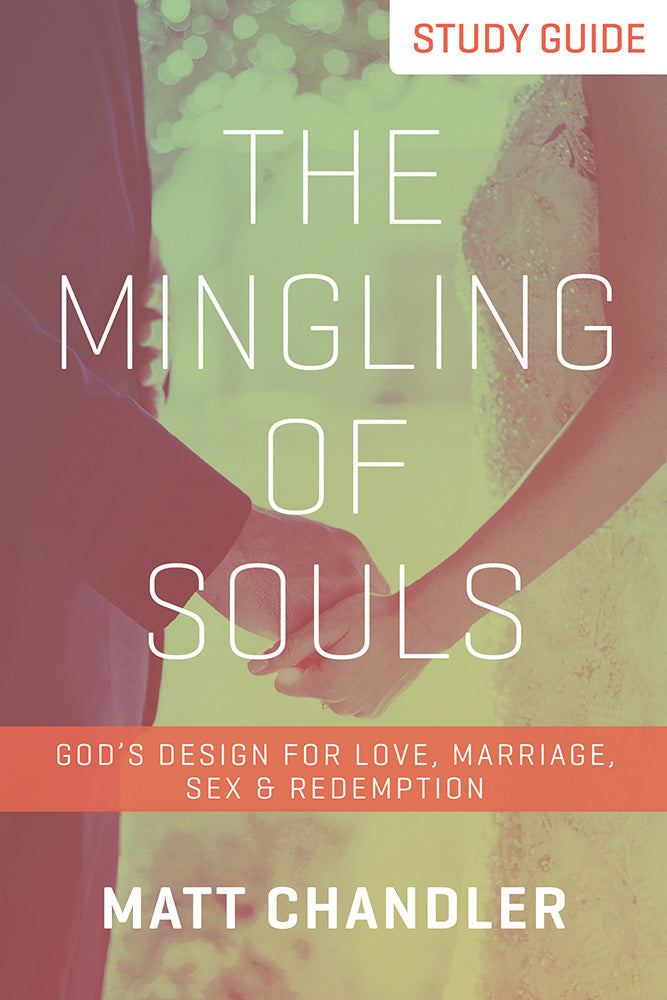 The Mingling Of Souls Study Guide - Re-vived