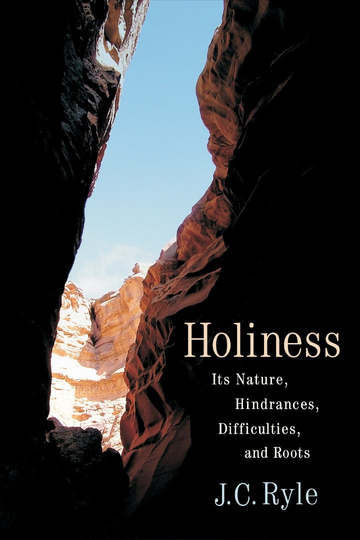 Holiness - Re-vived