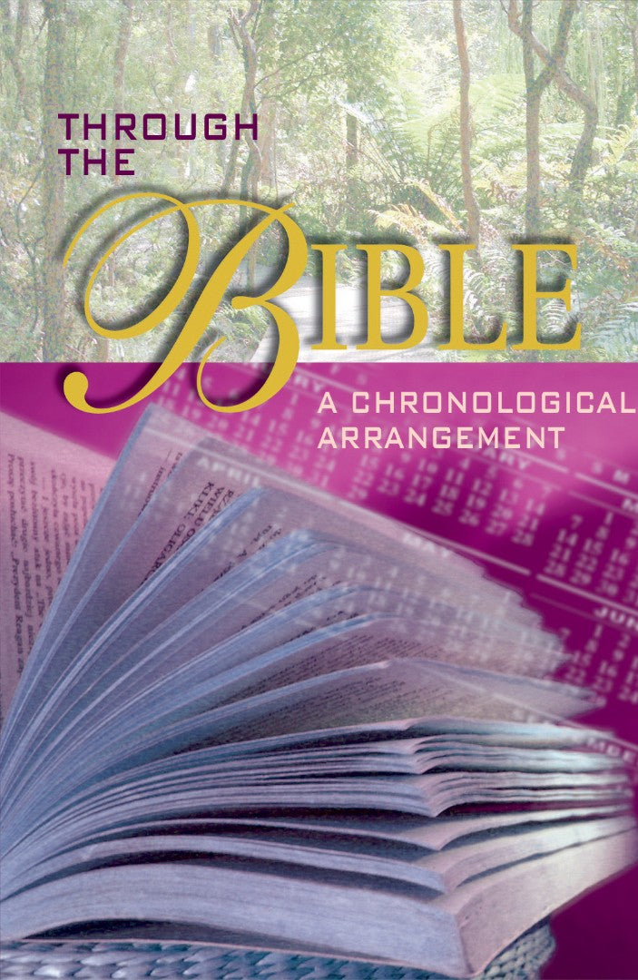Through The Bible (Pack Of 25) - Re-vived